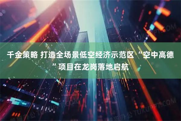 千金策略 打造全场景低空经济示范区 “空中高德”项目在龙岗落地启航