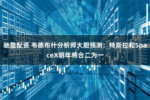 驰盈配资 韦德布什分析师大胆预测:特斯拉和SpaceX明年将合二为一