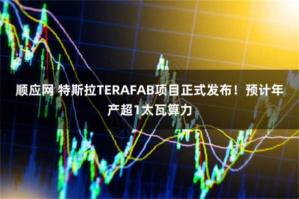 顺应网 特斯拉TERAFAB项目正式发布!预计年产超1太瓦算力