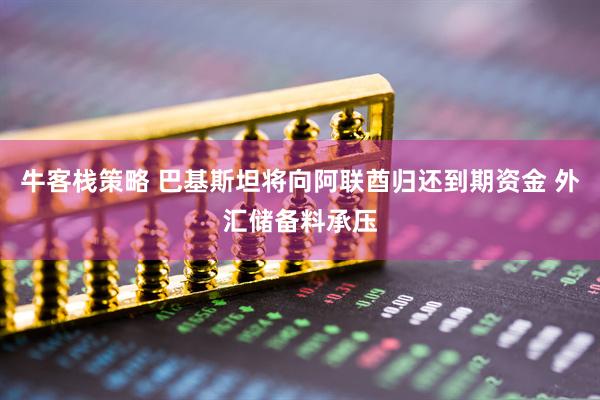 牛客栈策略 巴基斯坦将向阿联酋归还到期资金 外汇储备料承压